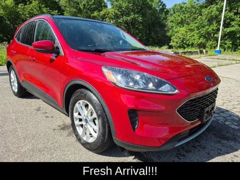 Used 2020 Ford Escape SE FWD image 14