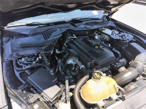 Used 2019 Ford Mustang Premium RWD image 12