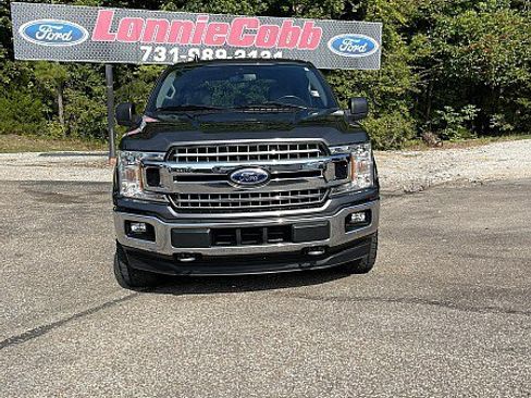 Used 2019 Ford F150 XLT w/ Equipment Group 302A Luxury AWD/4WD image 2
