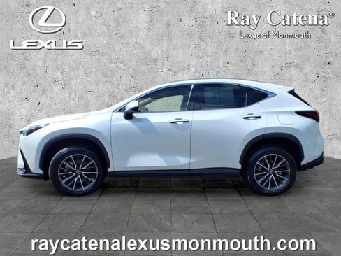 Certified 2024 Lexus NX 350 AWD w/ Cold Area Package image 4