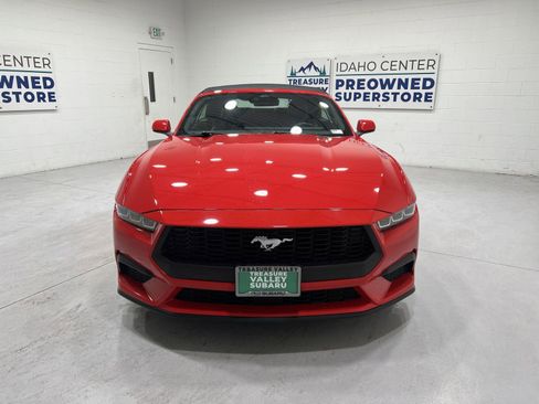 Used 2024 Ford Mustang Premium RWD image 3