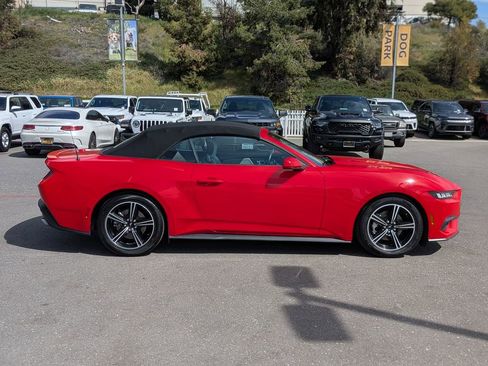 Used 2024 Ford Mustang Premium image 6