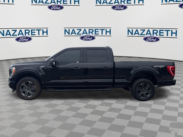 Used 2023 Ford F150 XLT w/ Equipment Group 302A High AWD/4WD image 4