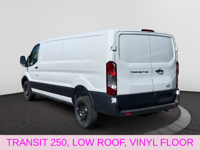 New 2026 Ford Transit 250 Low Roof w/ Load Area Protection Package RWD image 3