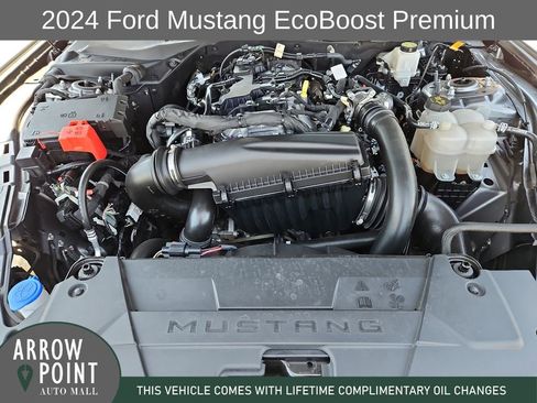Used 2024 Ford Mustang Premium RWD image 14