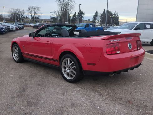 Used 2008 Ford Mustang Shelby GT500 image 6