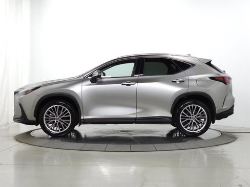 Used 2025 Lexus NX 350 AWD w/ Cold Area Package image 5