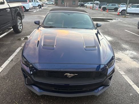 Used 2018 Ford Mustang Premium w/ Equipment Group 201A RWD image 8