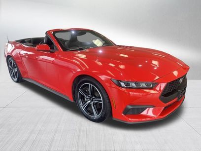 Used 2025 Ford Mustang Premium