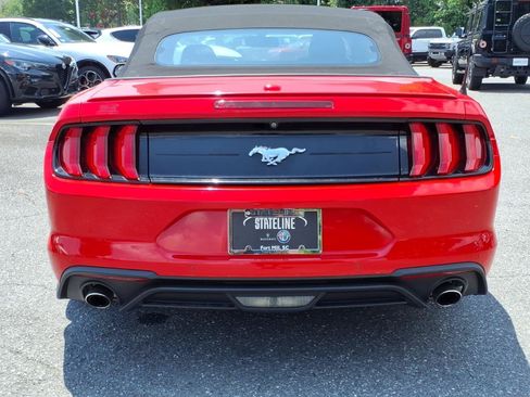 Used 2019 Ford Mustang Premium RWD image 16