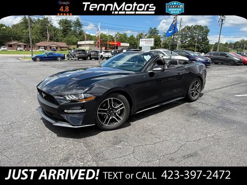 Used 2018 Ford Mustang Premium w/ Equipment Group 201A RWD image 21