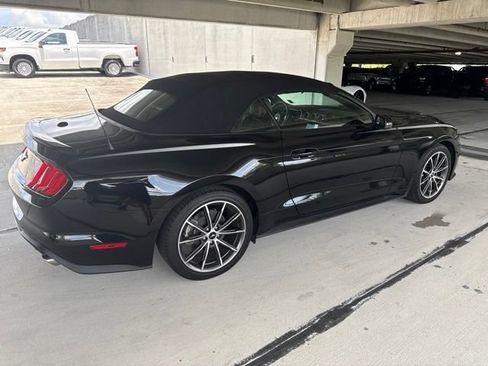 Used 2019 Ford Mustang Premium w/ Equipment Group 201A RWD image 13