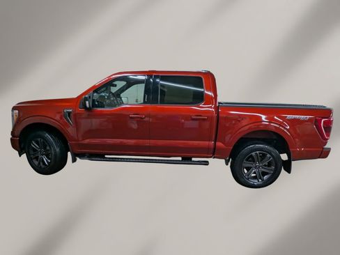Used 2023 Ford F150 XLT w/ Equipment Group 302A High AWD/4WD image 3