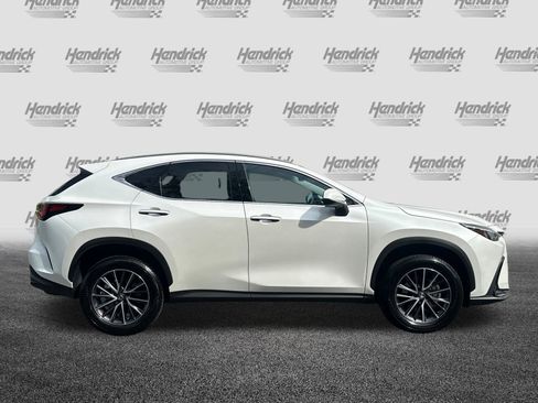 Used 2025 Lexus NX 350h AWD w/ Cold Area Package image 3