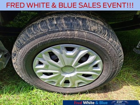 Certified 2025 Ford Transit 250 Low Roof w/ Exterior Upgrade Package RWD image 5