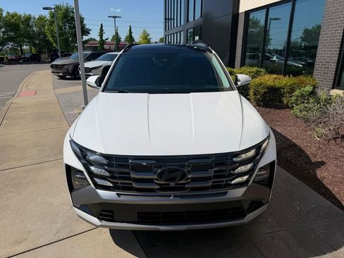 Used 2025 Hyundai Tucson Limited AWD/4WD image 8