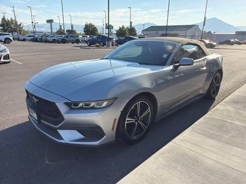 Used 2024 Ford Mustang Premium RWD image 3