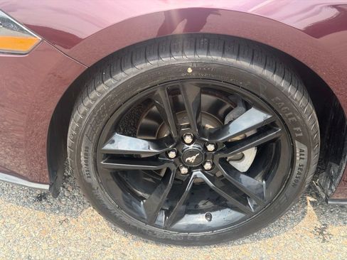 Used 2018 Ford Mustang Premium w/ Equipment Group 201A RWD image 12