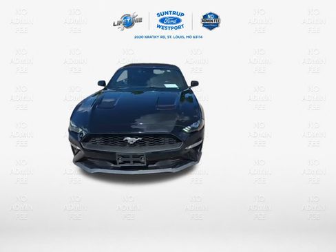Used 2021 Ford Mustang Premium RWD image 2