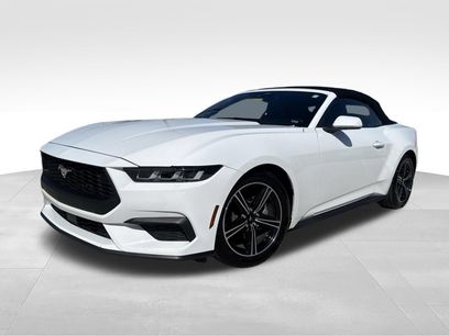 Used 2024 Ford Mustang Premium