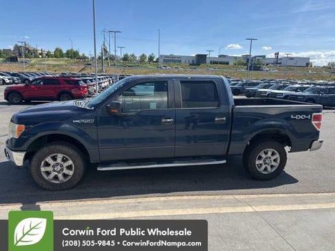 Used 2013 Ford F150 XLT w/ Luxury Equipment Group AWD/4WD image 4