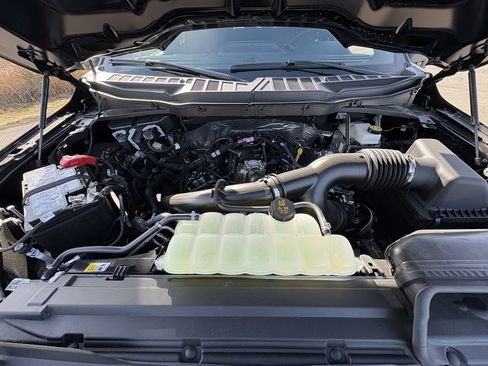 New 2025 Ford F150 STX w/ Equipment Group 200A image 16