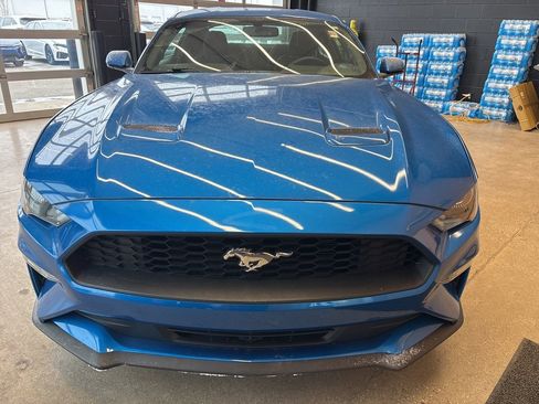 Used 2019 Ford Mustang Coupe w/ Equipment Group 101A image 3