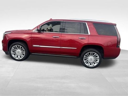 Used 2015 Cadillac Escalade Platinum RWD image 14