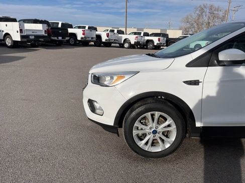 Used 2019 Ford Escape SE image 5