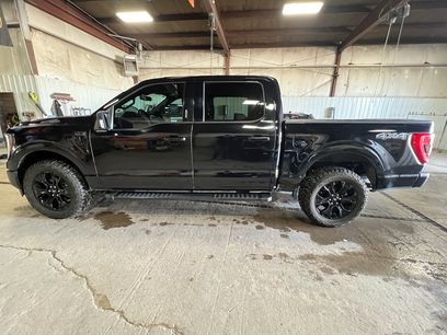 Used 2023 Ford F150 XLT w/ Equipment Group 302A High