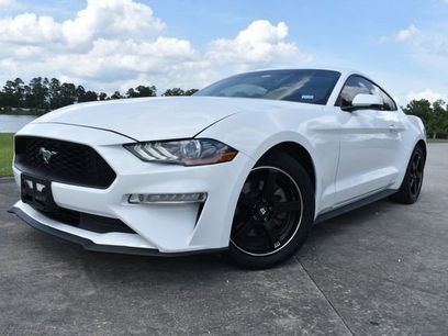 Used 2019 Ford Mustang Premium