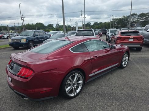 Used 2019 Ford Mustang Premium w/ Equipment Group 201A RWD image 4