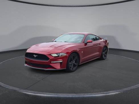 Used 2019 Ford Mustang Coupe RWD image 4