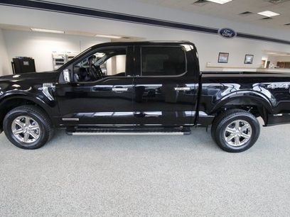 New 2025 Ford F150 XLT w/ Equipment Group 302A MID