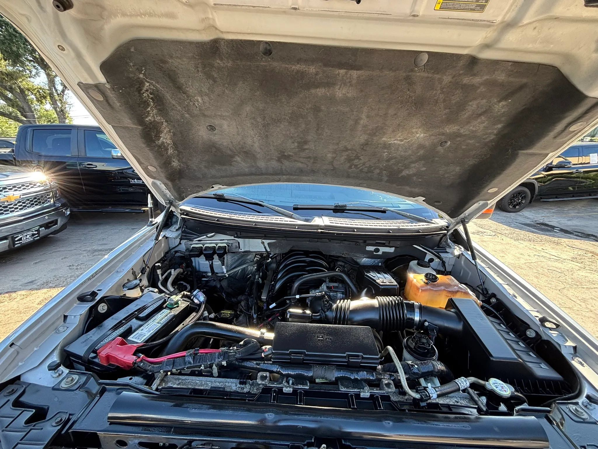 Used 2010 Ford F150 XLT RWD image 21