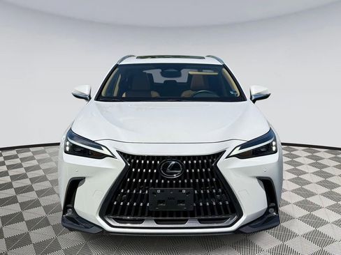 Used 2025 Lexus NX 350 AWD w/ Cold Area Package image 6