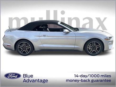 Used 2023 Ford Mustang Premium image 3