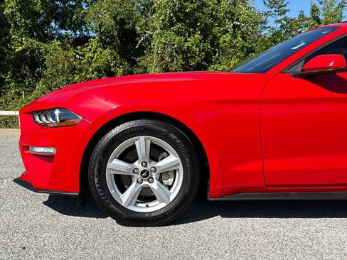 Used 2019 Ford Mustang Convertible RWD image 5
