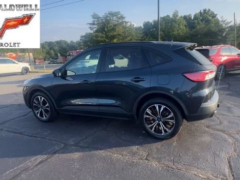 Used 2022 Ford Escape SEL w/ SEL Stealth AWD Package image 6