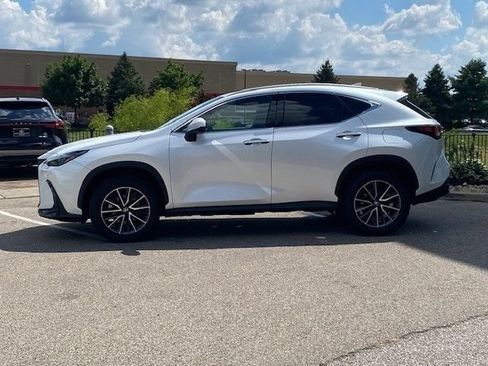 Used 2024 Lexus NX 350h AWD image 2