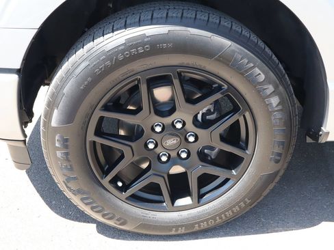 Used 2024 Ford F150 STX w/ STX Black Appearance Package RWD image 14
