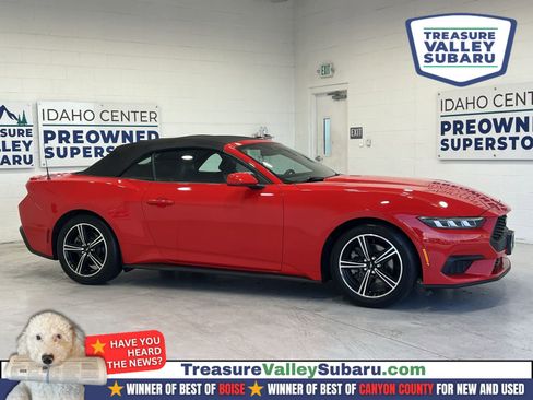 Used 2024 Ford Mustang Premium RWD image 1