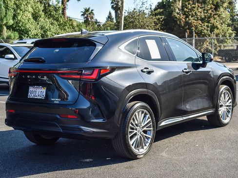 Used 2025 Lexus NX 350 AWD w/ Premium Package image 6