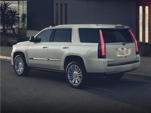 Used 2019 Cadillac Escalade Platinum AWD/4WD image 1