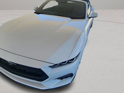 Used 2024 Ford Mustang Premium image 17