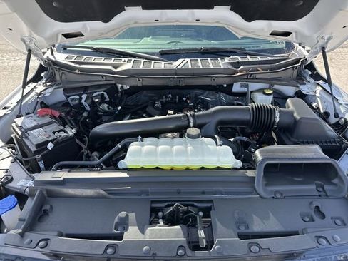 New 2024 Ford F150 XLT w/ Equipment Group 303A High image 20