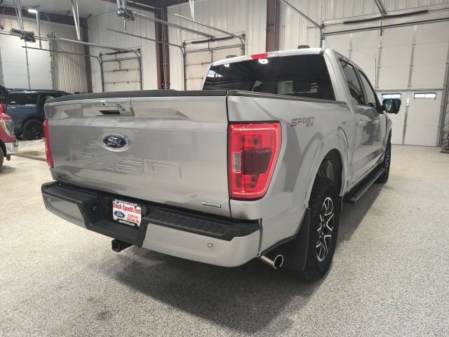 Used 2023 Ford F150 XLT w/ Equipment Group 302A High AWD/4WD image 6