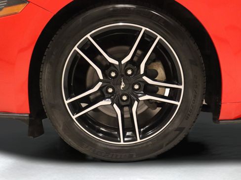 Used 2019 Ford Mustang Premium image 7