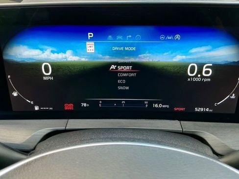 Used 2023 Kia Telluride SX Prestige X-Pro image 29