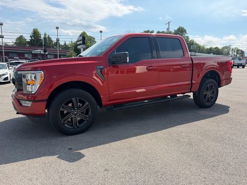 Used 2023 Ford F150 XLT w/ Equipment Group 302A High AWD/4WD image 9